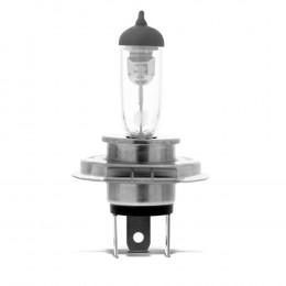 Lampada Halogena H4 12v 55w - Cinoy