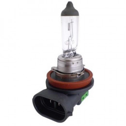 Lampada Halogena  H11 12v 55w - Cinoy