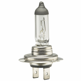 Lampada Halogena H7 12v 55w - Cinoy